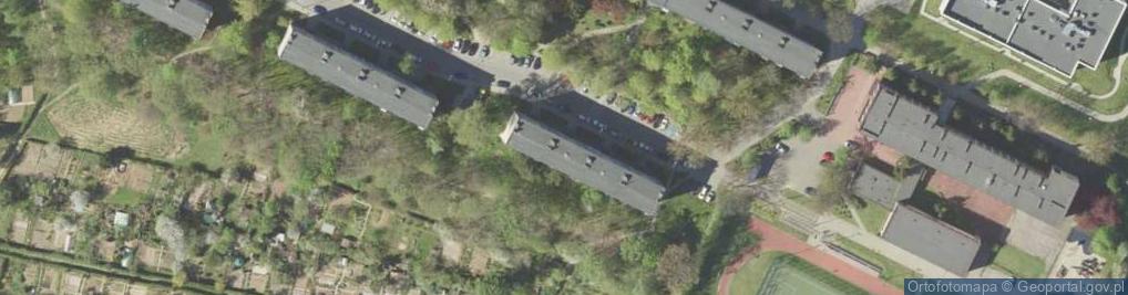 Zdjęcie satelitarne Lucyna Górajska - Działalność Gospodarcza