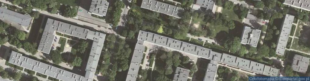 Zdjęcie satelitarne Lucyna Ulman - Działalność Gospodarcza