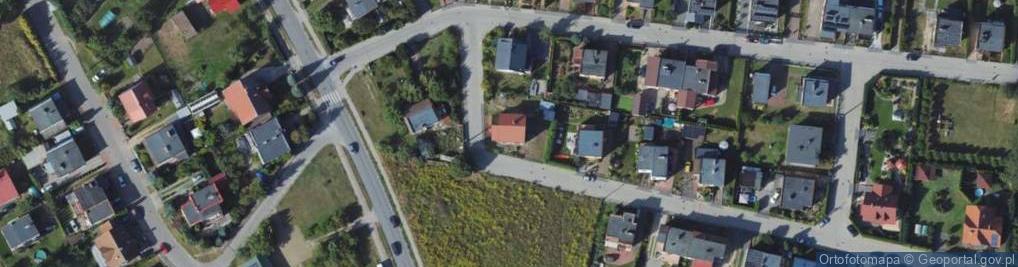 Zdjęcie satelitarne Lusitania Agnieszka Kin Tłumaczenia i Nauczanie Języków Obcych