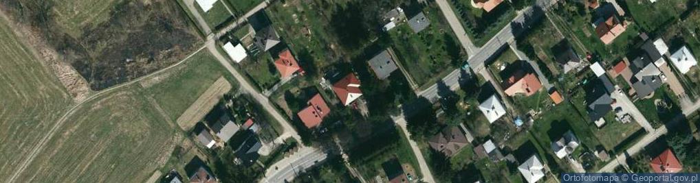 Zdjęcie satelitarne Magic Film Frydlewicz Wojciech Petrycki Andrzej