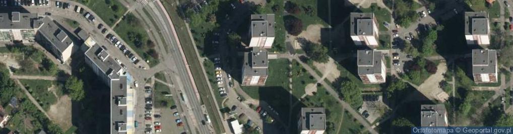 Zdjęcie satelitarne Magnolia Anna Janus
