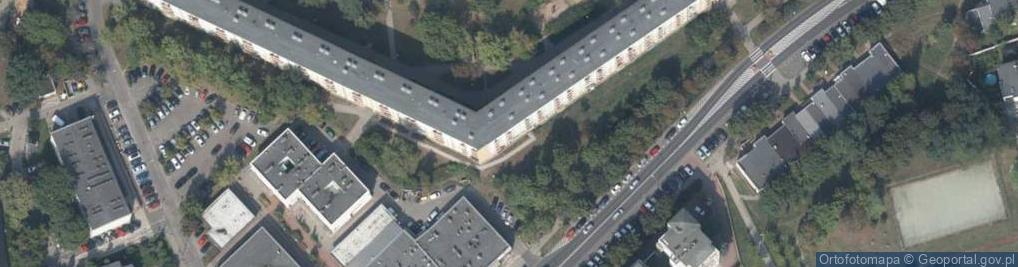 Zdjęcie satelitarne Magnolia Centrum Ogrodnicze Eksport Import P P H U