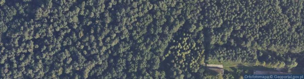 Zdjęcie satelitarne MAJA