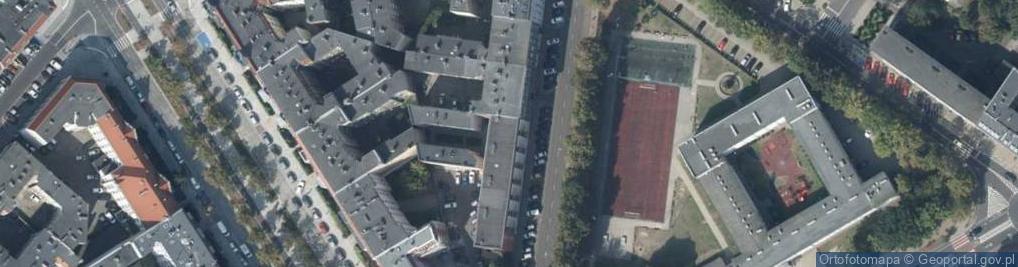 Zdjęcie satelitarne Malarstwo Rosłaniec Urszula