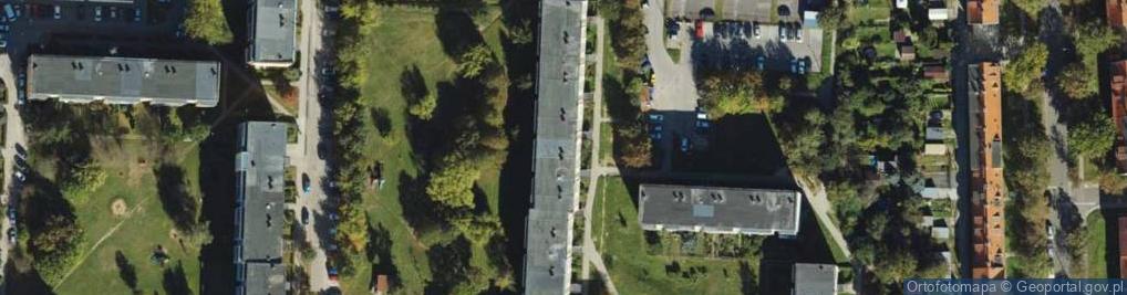 Zdjęcie satelitarne Małgorzata Kucewicz