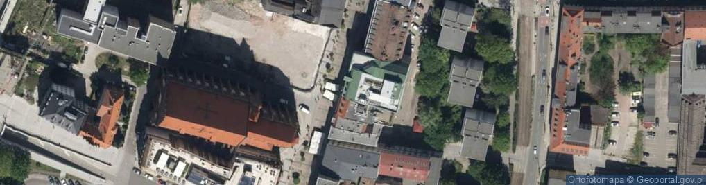 Zdjęcie satelitarne Małgorzata Muszyńska