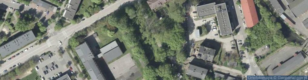 Zdjęcie satelitarne Małgorzata Sierocińska