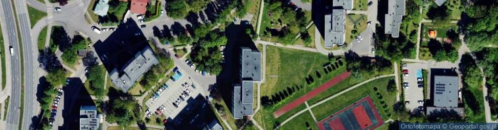 Zdjęcie satelitarne Malowanie i Sprzedaż Obrazów