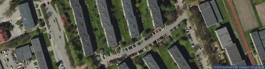 Zdjęcie satelitarne Malowanie Obrazów Projektowanie i Wykonyw Wystr Wnętrz