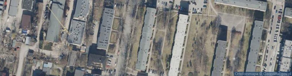 Zdjęcie satelitarne Malowanie Obrazów Reprodukcje