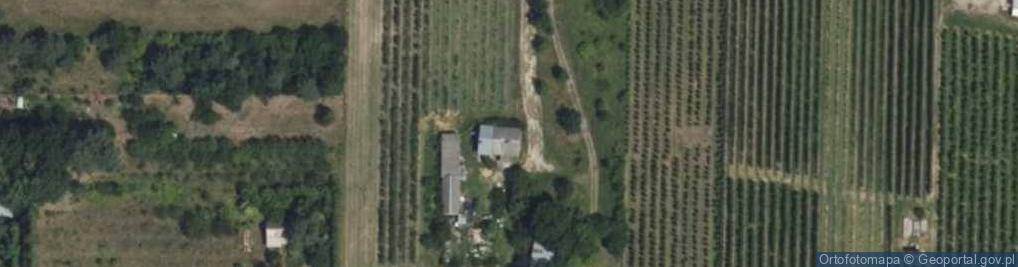 Zdjęcie satelitarne Mar Tom