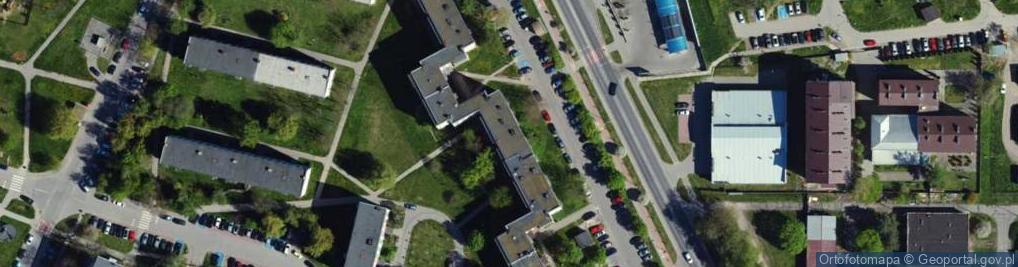 Zdjęcie satelitarne Maria Duma - Działalność Gospodarcza