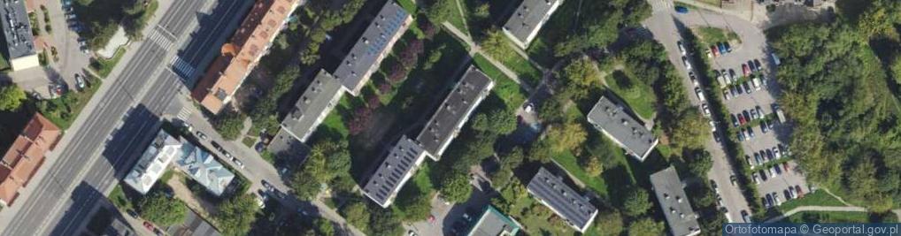 Zdjęcie satelitarne Maria Dutka - Działalność Gospodarcza
