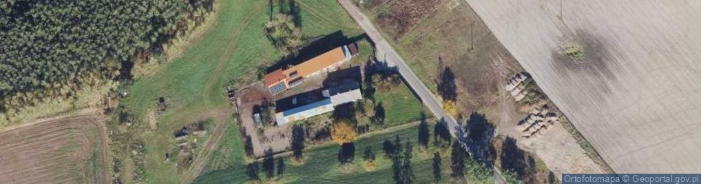 Zdjęcie satelitarne Maria Klepczyńska - Działalność Gospodarcza