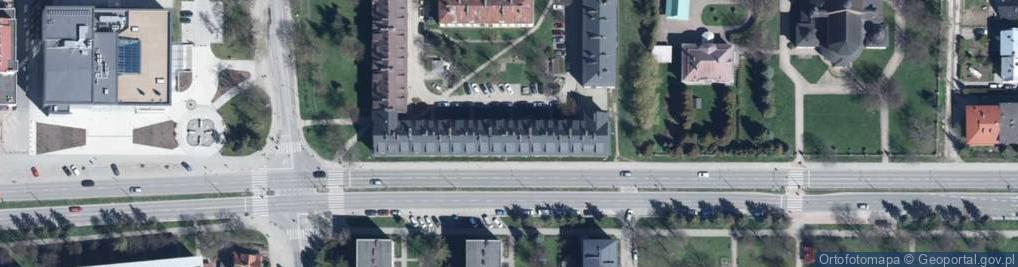 Zdjęcie satelitarne Maria Łowisz - Działalność Gospodarcza