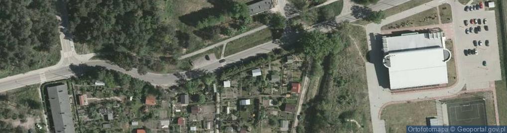 Zdjęcie satelitarne Maria Pera - Działalność Gospodarcza