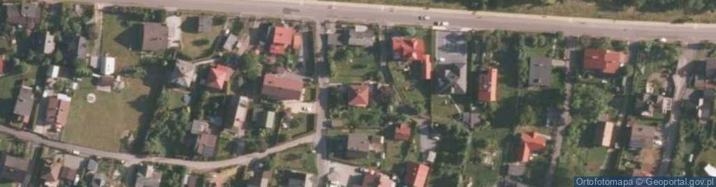 Zdjęcie satelitarne Maria Wandzel - Działalność Gospodarcza