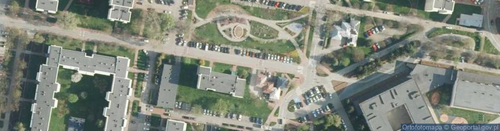 Zdjęcie satelitarne Maria Zubowska - Działalność Gospodarcza