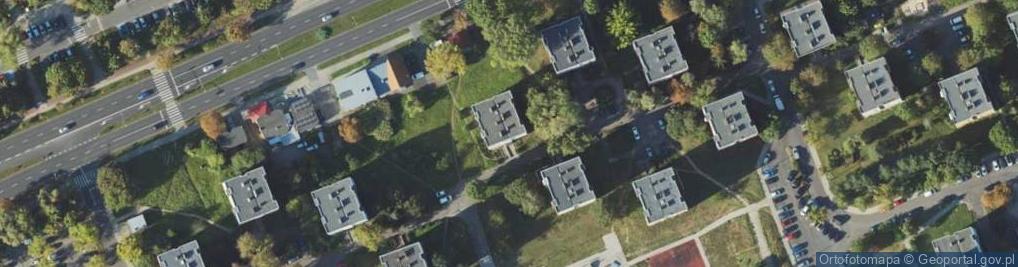 Zdjęcie satelitarne Mariikea Import Export