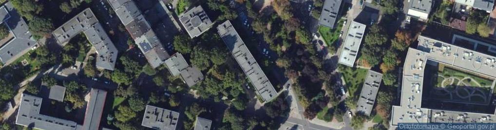 Zdjęcie satelitarne Marija Rutkauskiene