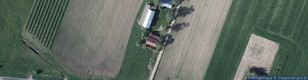 Zdjęcie satelitarne Mario LTD Corporation