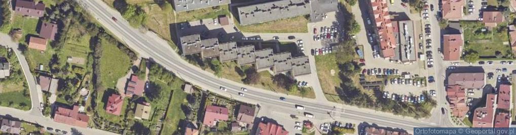 Zdjęcie satelitarne Mario