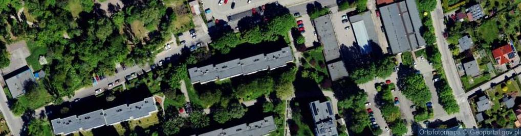 Zdjęcie satelitarne Mario