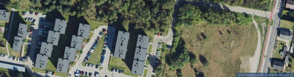 Zdjęcie satelitarne Marland