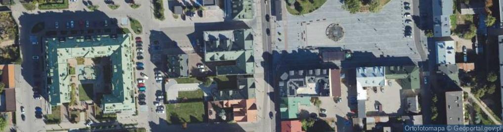 Zdjęcie satelitarne Marta Sosnowska