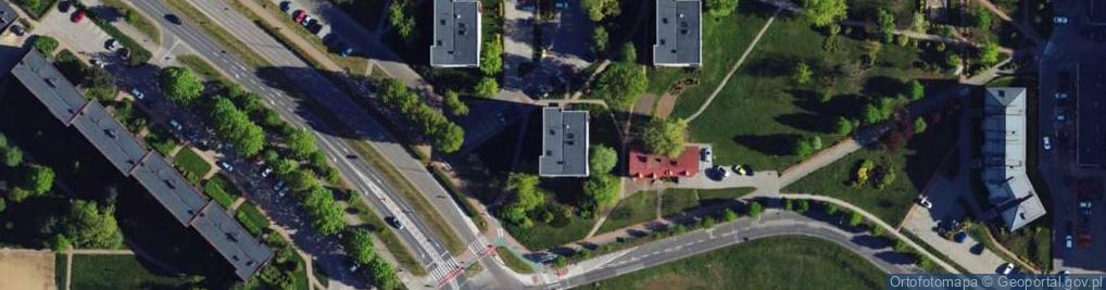 Zdjęcie satelitarne Marvel - Michał Wasiak