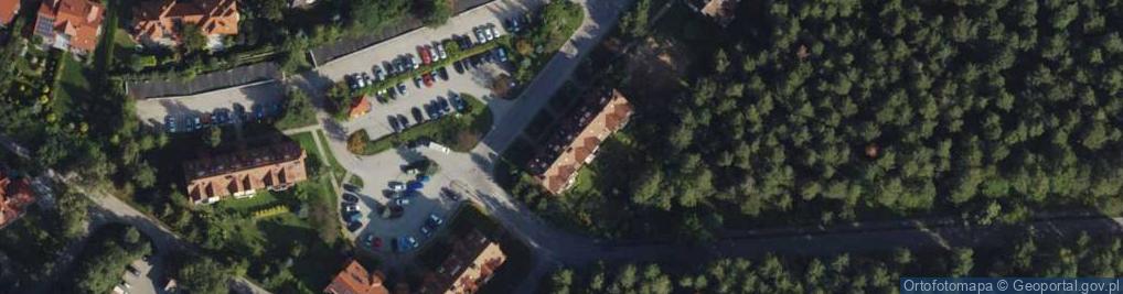 Zdjęcie satelitarne Massive Kamila Guzikowska Jacek Guzikowski