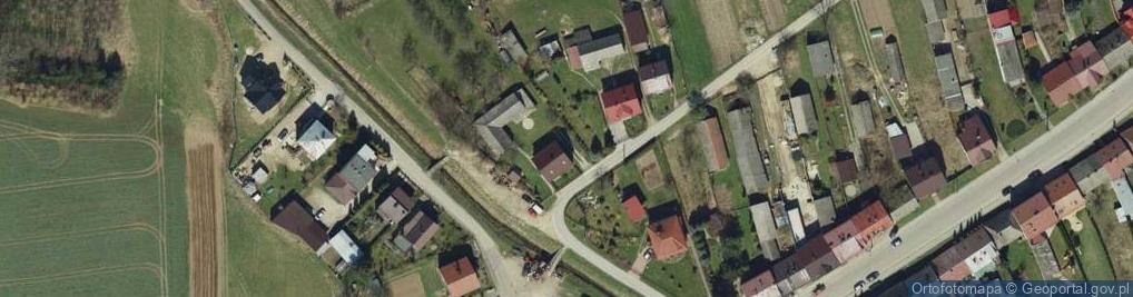 Zdjęcie satelitarne Mateusz Roguski Gigantic Brain