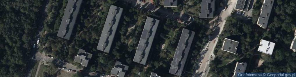 Zdjęcie satelitarne Maynard Marlena Marton-Kargul