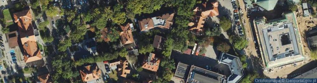 Zdjęcie satelitarne Medyceusz