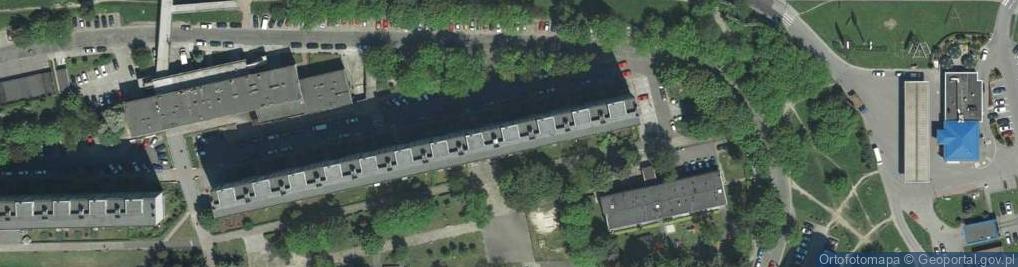 Zdjęcie satelitarne Michał Biliński Konserwacja Dzieł Sztuki