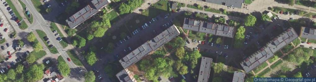 Zdjęcie satelitarne Michał Miechowicz - Działalność Gospodarcza