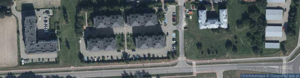 Zdjęcie satelitarne Michalina Bielicka Nauka Języka Angielskiego