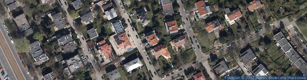 Zdjęcie satelitarne Microlizard