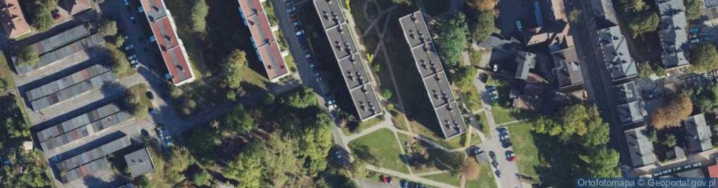 Zdjęcie satelitarne Mirosława Brusiłowicz