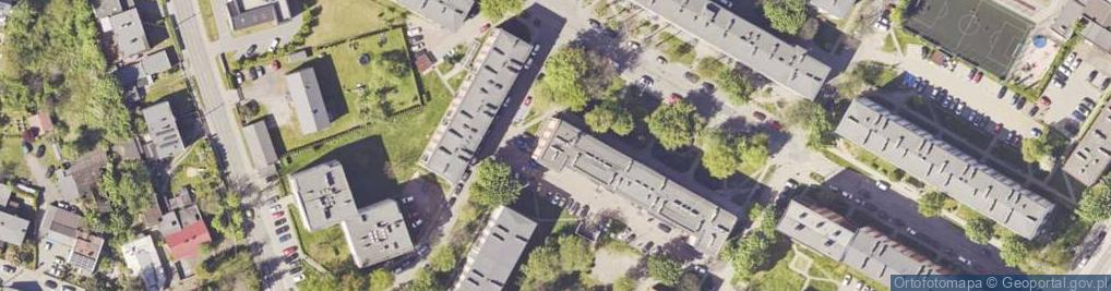 Zdjęcie satelitarne Monika Bąk Nika