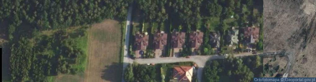 Zdjęcie satelitarne Monika Magdalena Niewiadomska Business Design