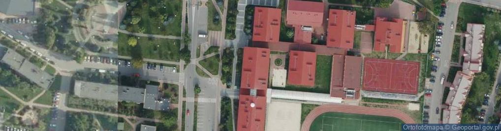 Zdjęcie satelitarne Monika Pławska - Działalność Gospodarcza