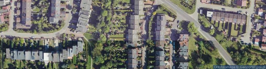 Zdjęcie satelitarne Motus Justyna Dziedzic-Załuska