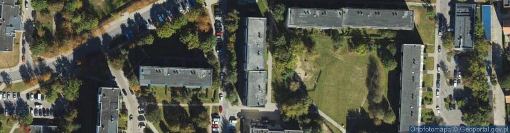 Zdjęcie satelitarne MS VISION