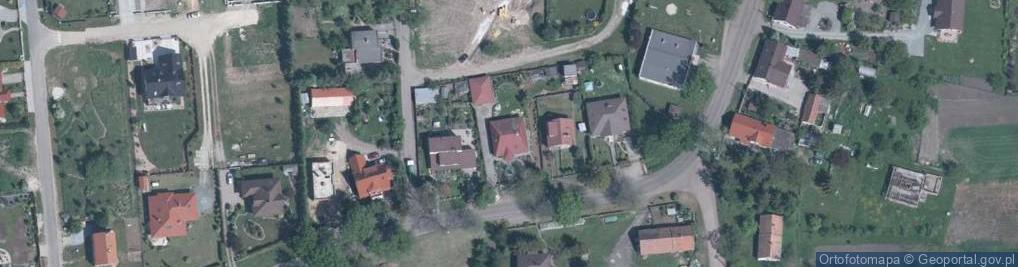 Zdjęcie satelitarne MSP- Małgorzata Skurzyńska-Paprocka