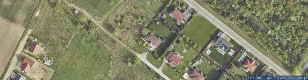 Zdjęcie satelitarne Muflon Pictures Piotr Matwiejczyk