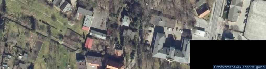 Zdjęcie satelitarne Nadleśnictwo Wolsztyn