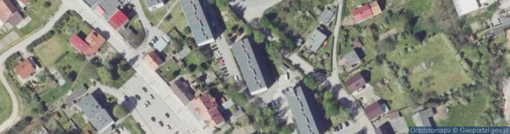 Zdjęcie satelitarne Natalia Skaczyło - Działalność Gospodarcza