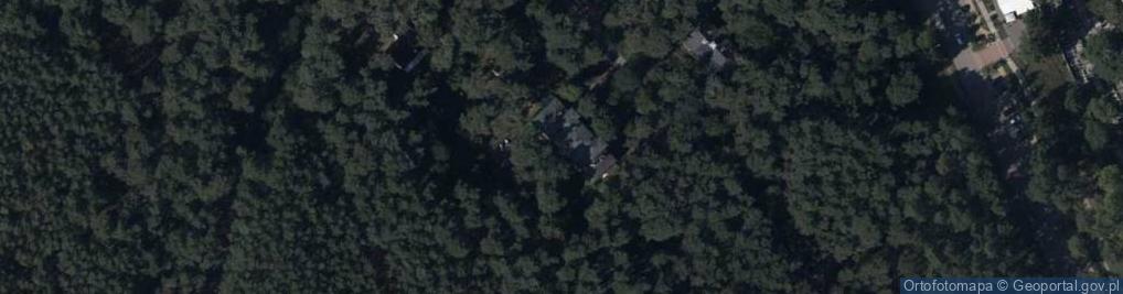 Zdjęcie satelitarne Nauczanie Języka Polskiego i Korepetycji Radecka Mikulicz