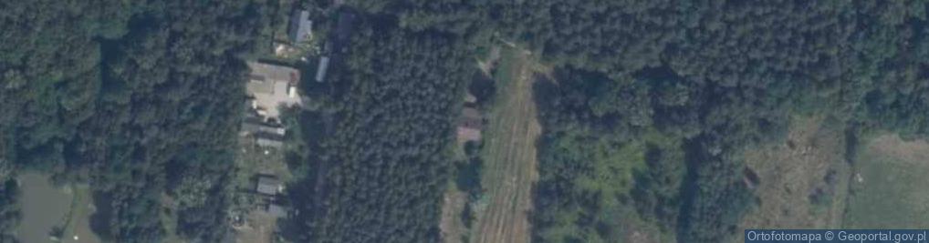 Zdjęcie satelitarne Nauczanie Tłumaczenia